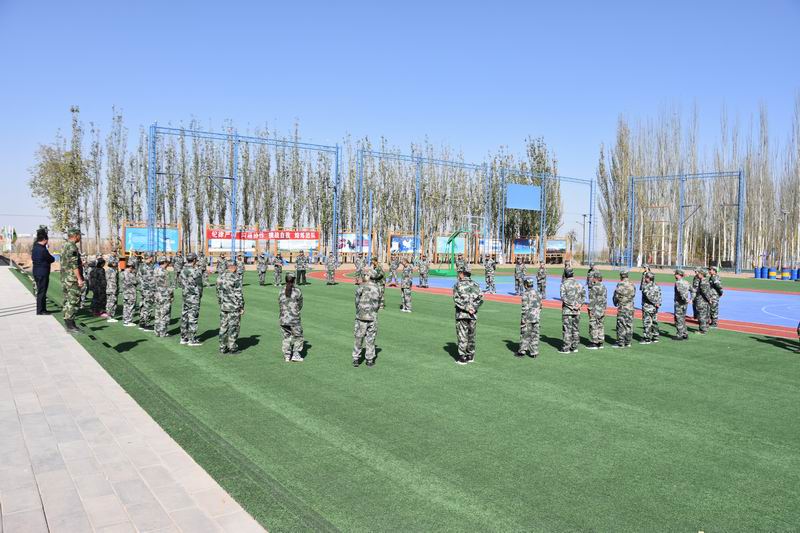 W020181101379135553130.jpg W020181101379135553130.jpg