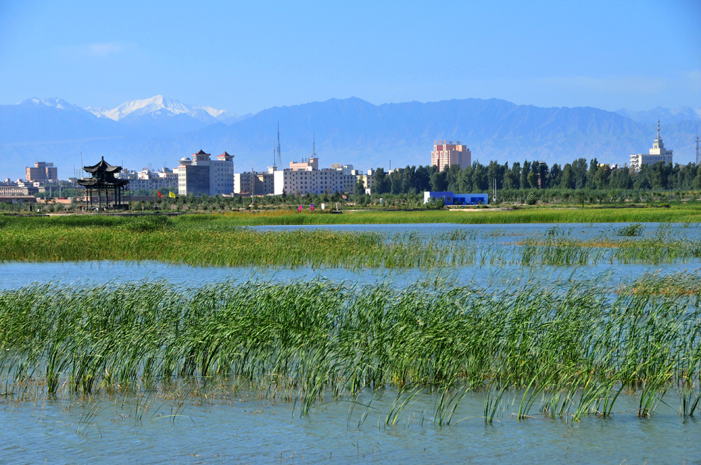 湿地公园回望甘州城