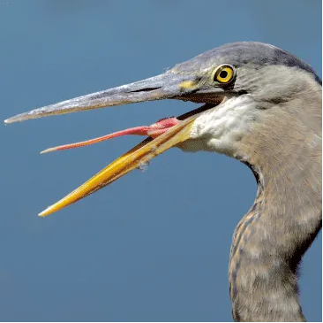B9F1B2C2-64B1-4b08-832B-C0F279C5CE83.png