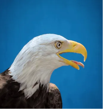 92B7CC32-D61B-46d1-9AE2-0C51660251D4.png