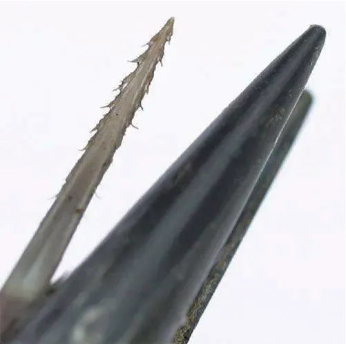 E7C0D819-F35E-4f10-B722-3A9D57A4FB86.png