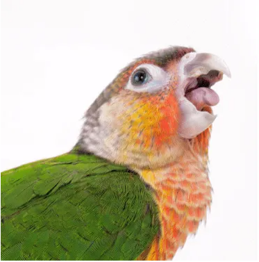 16298FCB-6100-4a83-A002-23EB3EDA8A60.png